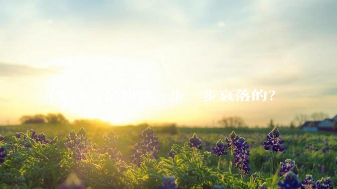Firefox是如何一步一步衰落的？
